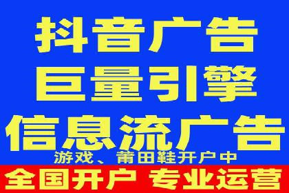 抖音信息流代理在电商行业的应用案例分析